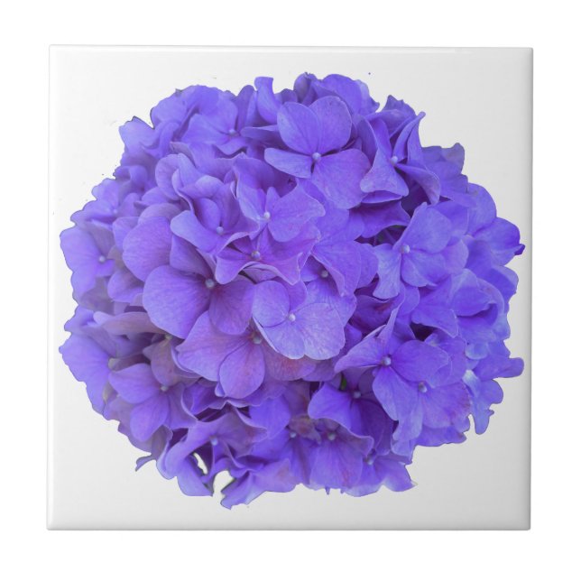 Lavender lilac purple Hydrangeas purple Flowers Ceramic Tile (Front)