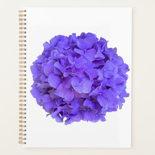 Lavender lilac purple Hydrangeas purple Flowers Planner