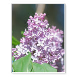 Lavender Lilacs Temporary Tattoos