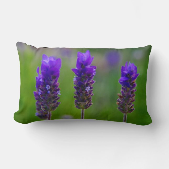 lavender lumbar pillow (Front)