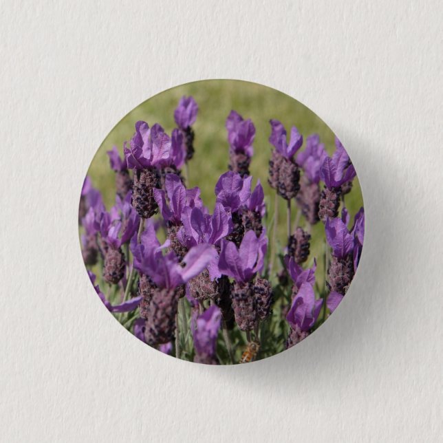 Lavender Meadow Flowers Pinback Button (Front)