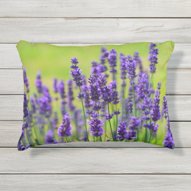 Lavender Meadow Outdoor Pillow (Front)