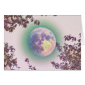 Lavender Moon (Front Horizontal)