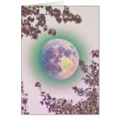 Lavender Moon (Front)