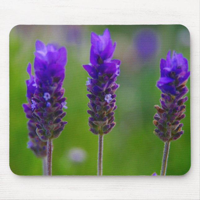 lavender mouse pad (Front)