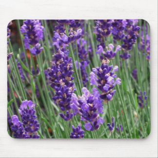 Lavender Mouse Pad