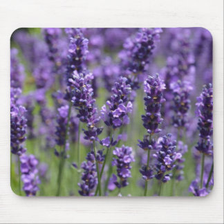 lavender mouse pad