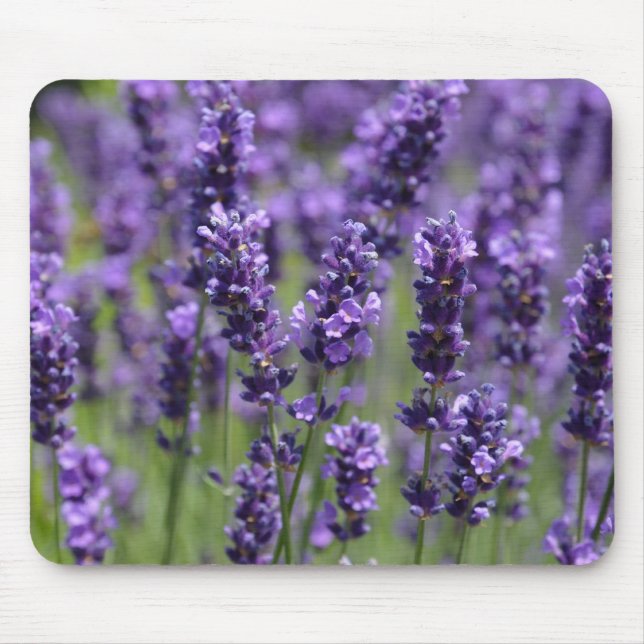 lavender mouse pad (Front)