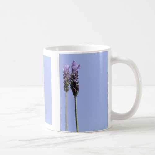 Lavender Mug