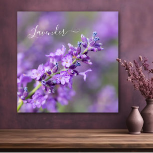 Lavender Name  Poster