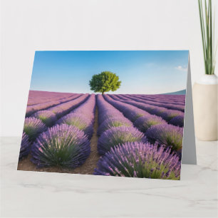 Lavender Nature Outdoors Landscape Calm Peaceful Card