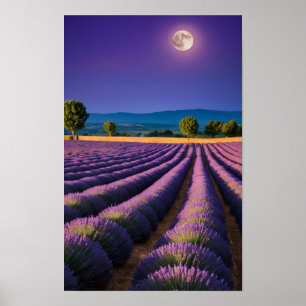 Lavender Nature Outdoors Landscape Calm Peaceful  Poster