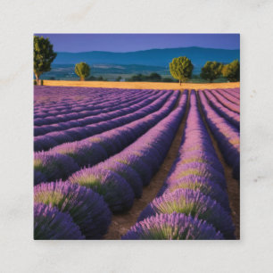 Lavender Nature Outdoors Landscape Calm Peaceful  Square Business Card