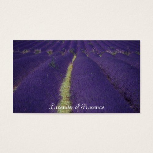 Lavender of Provence Business Card Templates