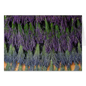 Lavender on Drying Rack (Front Horizontal)