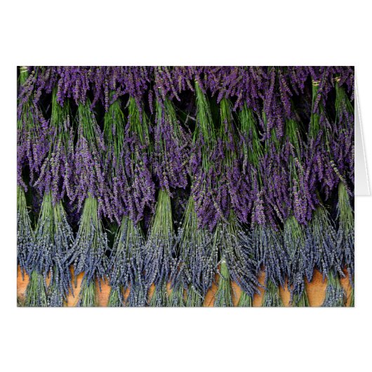 Lavender on Drying Rack Cards (Front Horizontal)