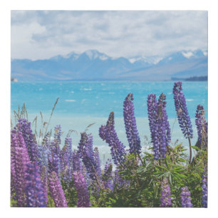lavender on the lake shore faux canvas print
