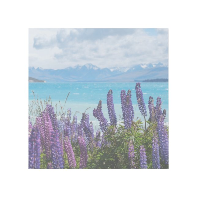 lavender on the lake shore gallery wrap (Front)