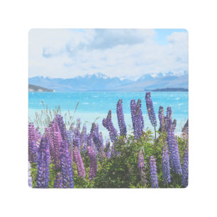 lavender on the lake shore metal print