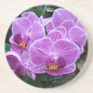 Lavender Orchid Sandstone Coaster