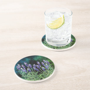 Lavender painted with watercolors coaster