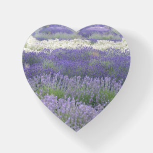 Lavender Paperweight