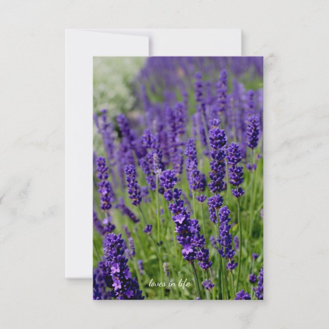 Lavender Patch Note Card (Front)