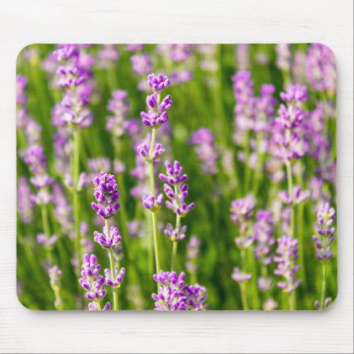 Lavender Photo Mouse Pad