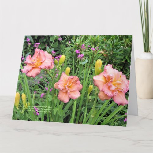 Lavender Pink Double Daylilies Card