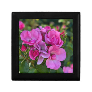 lavender Pink Rose Gift Box