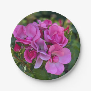 lavender Pink Rose Paper Plates