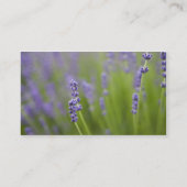 Lavender plants 2 business card (Back)