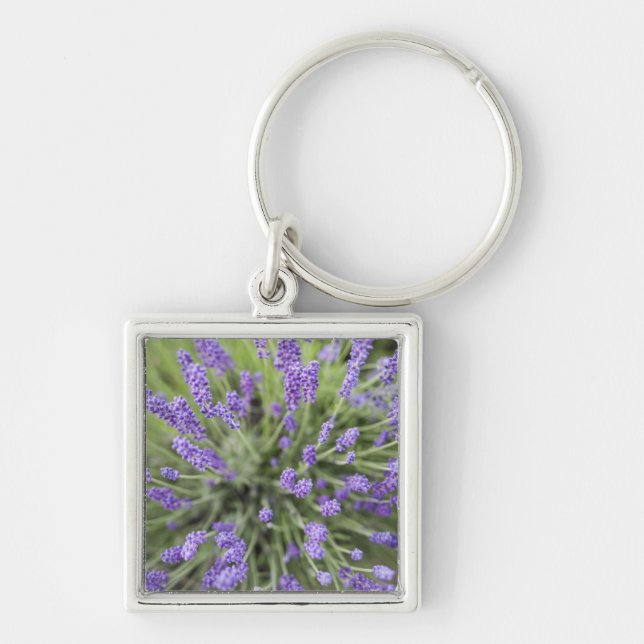 Lavender plants keychain (Front)