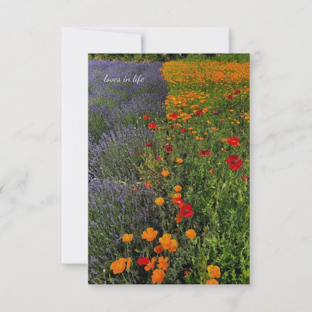Lavender & Poppies Note Card (Front)