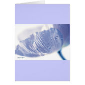 Lavender Poppy & Raindrops, template (Front)