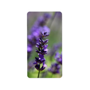 Lavender Portrait Label