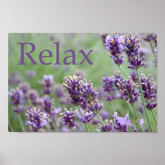 Lavender Poster (Front)