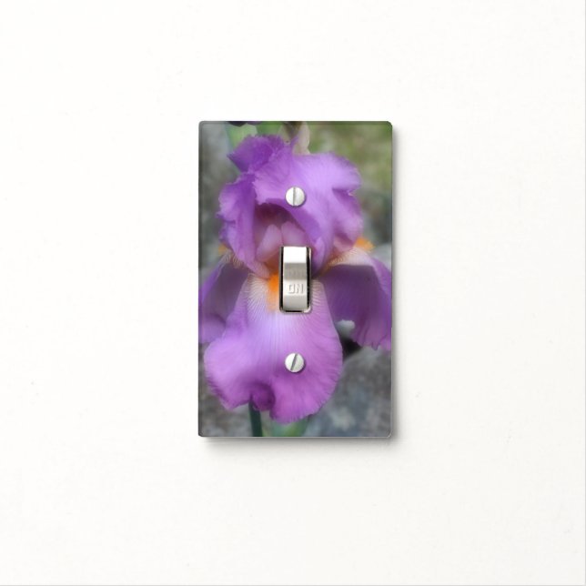Lavender Purple Bearded Iris Flower Nature Light Switch Cover (In Situ)