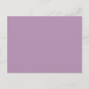 Lavender Purple High End Solid Color Postcard