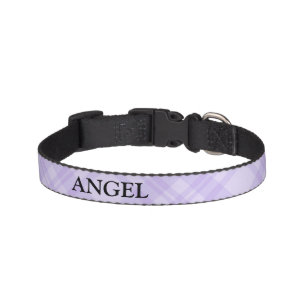 angel dog collar