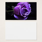 lavender rose (Front & Back)
