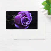 lavender rose (Desk)