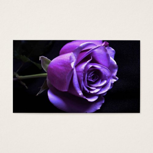lavender rose business cards