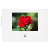 Lavender Rose Card (Back Horizontal)