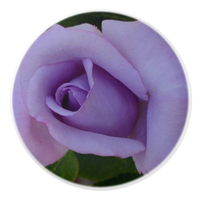Lavender rose ceramic knob (Front)