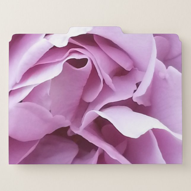 Lavender Rose File Folder (Back Center)