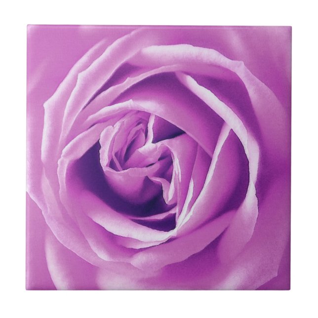 Lavender rose print tile (Front)