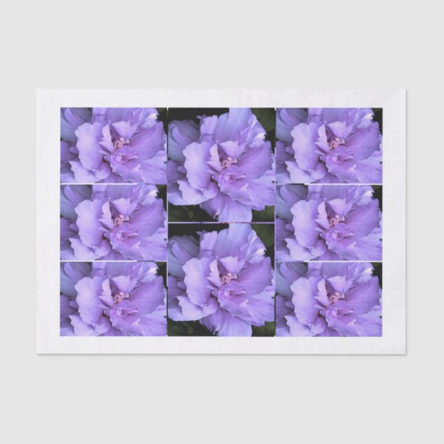 Lavender Rose Sharon Multi images Tissue Paper (Front)