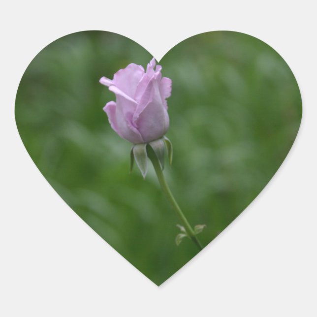 Lavender Rose stickers (Front)