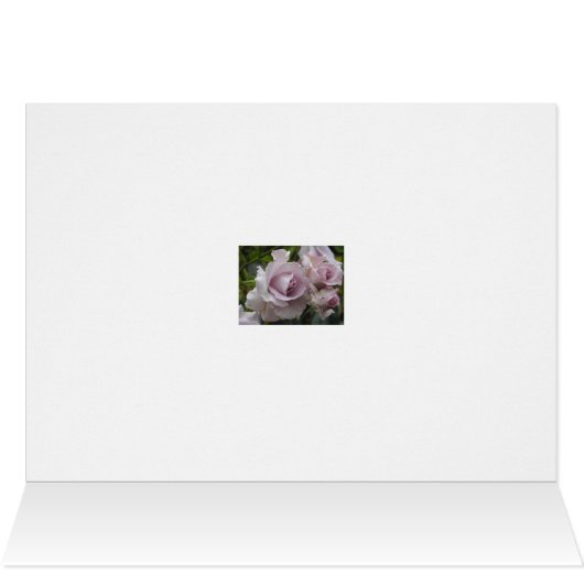 Lavender Roses Card (Inside Horizontal (Top))